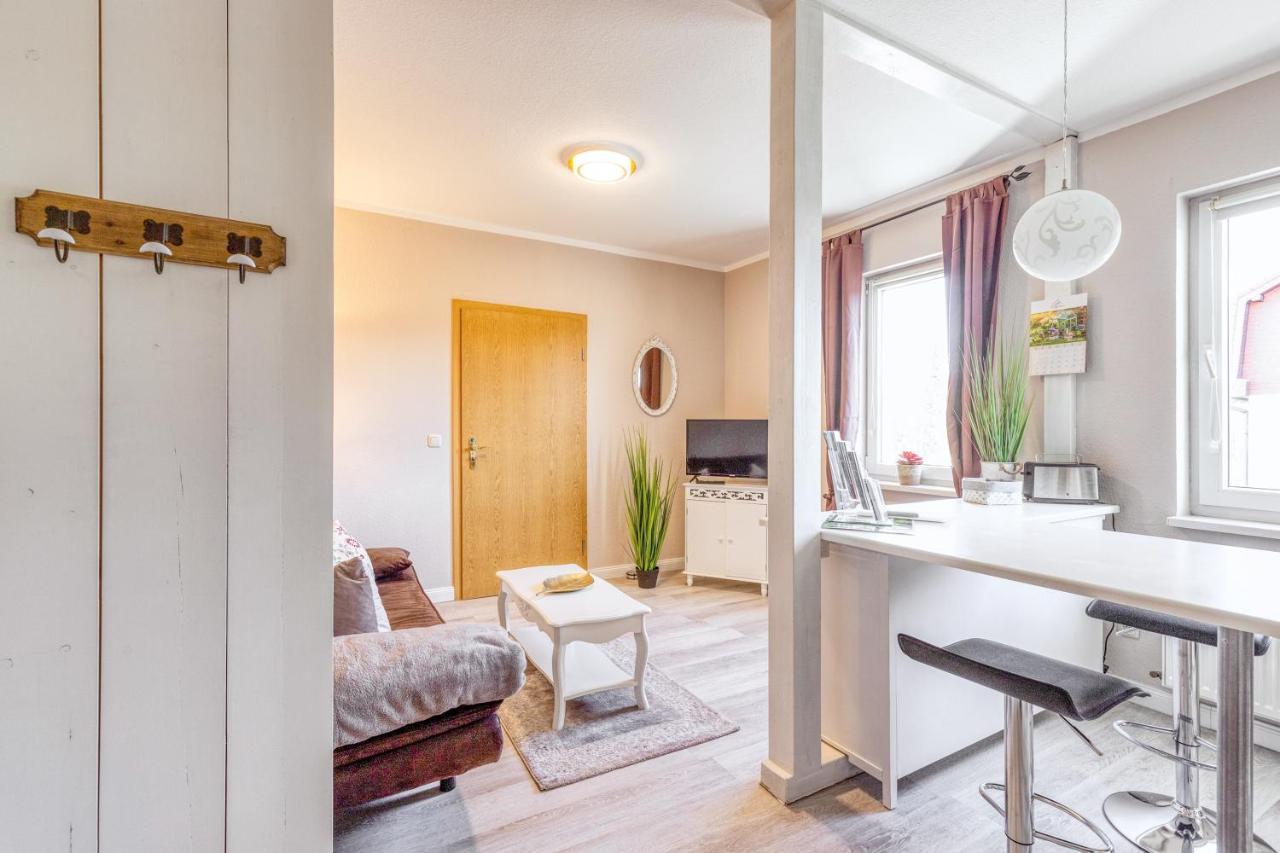 Ferienwohnung Ziesing Friedrichsbrunn Thale Εξωτερικό φωτογραφία